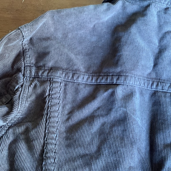 John Galt at Brandy Brown Cord Jacket - Picture 6 of 6